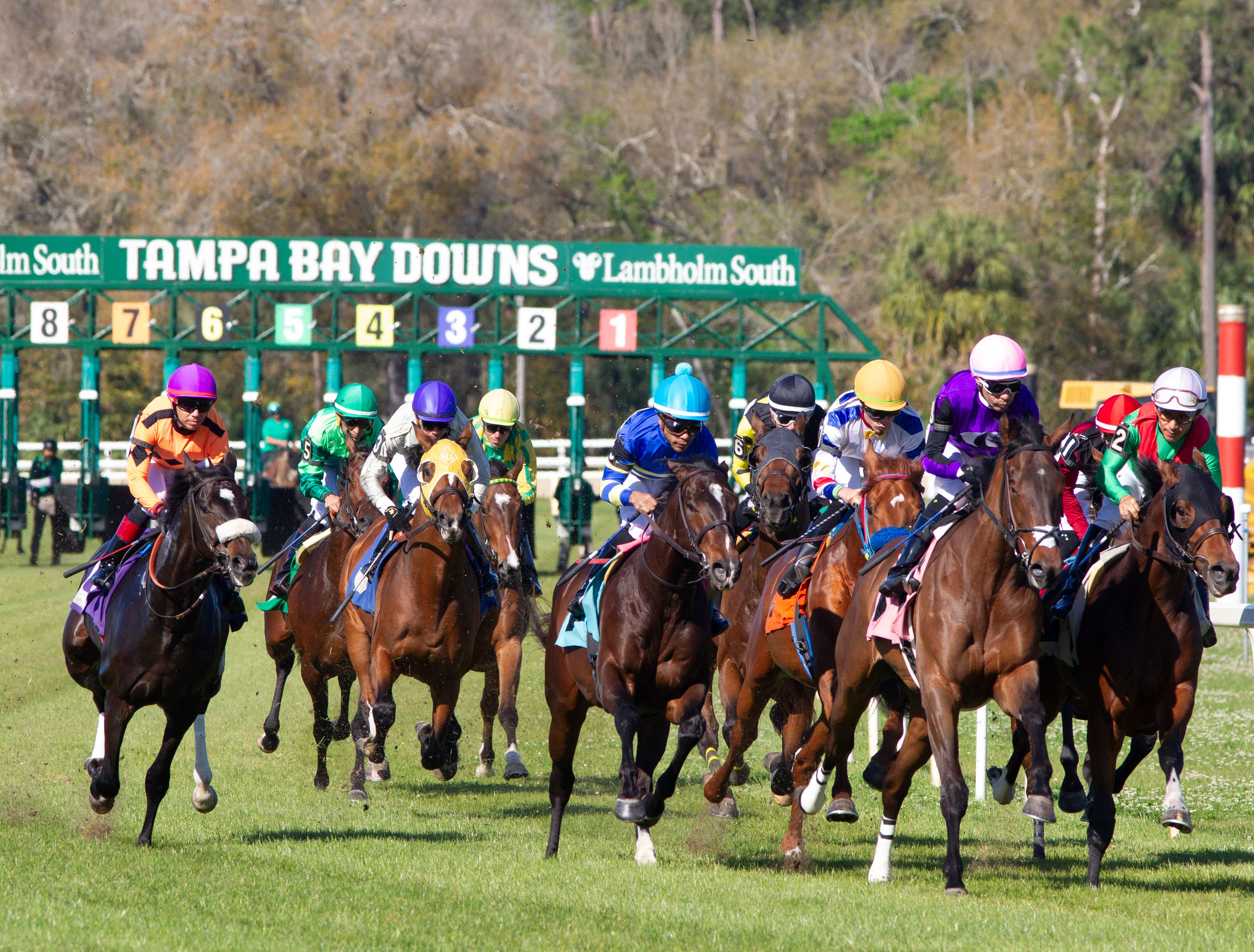 DRF's Horse Racing Playbook for Sunday, April 14, 2024